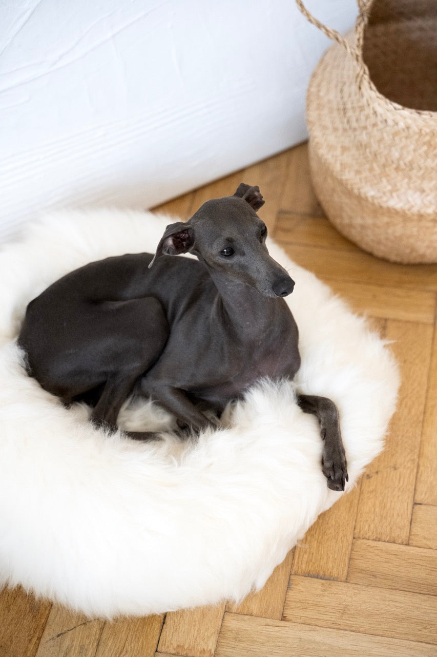 Round Sheepskin Pet Bed
