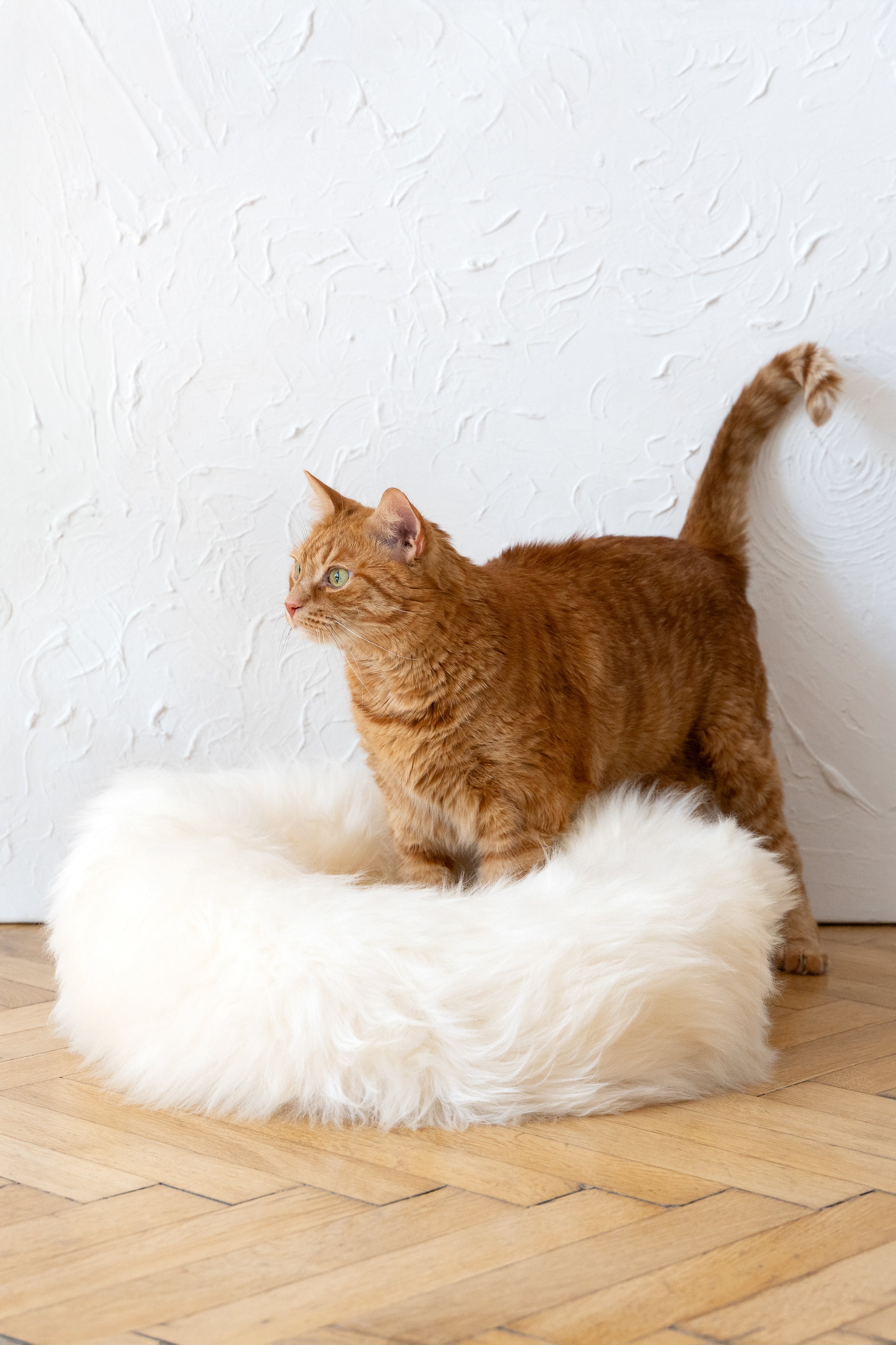 Round Sheepskin Pet Bed